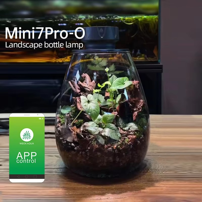 Planted Tank - Cob micropaisagem planta luz de preenchimento