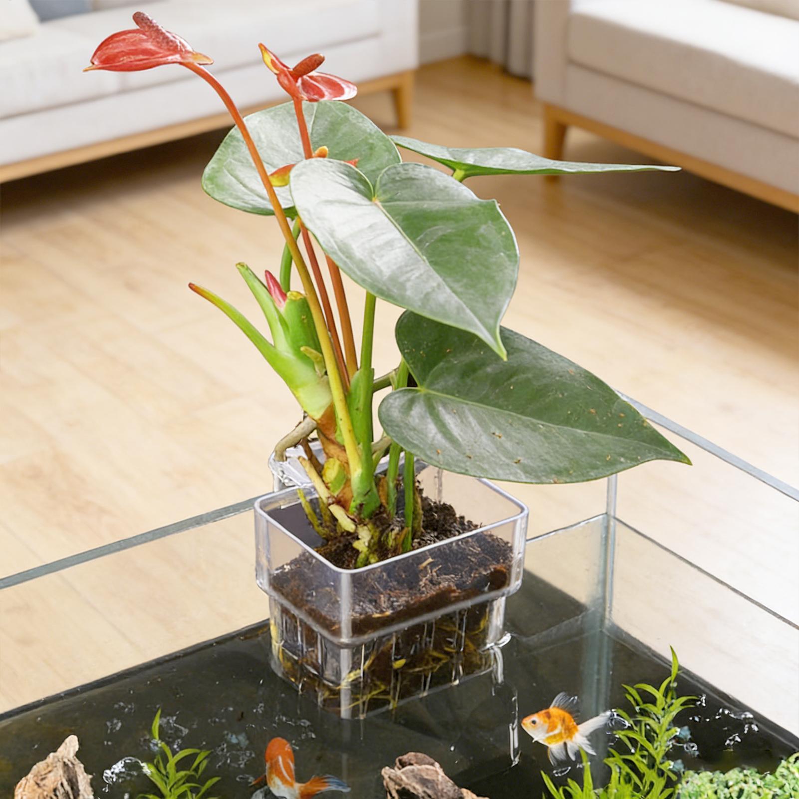 Plant Aquarium Pot - Cesta Transparente para Plantas de Aquário,
