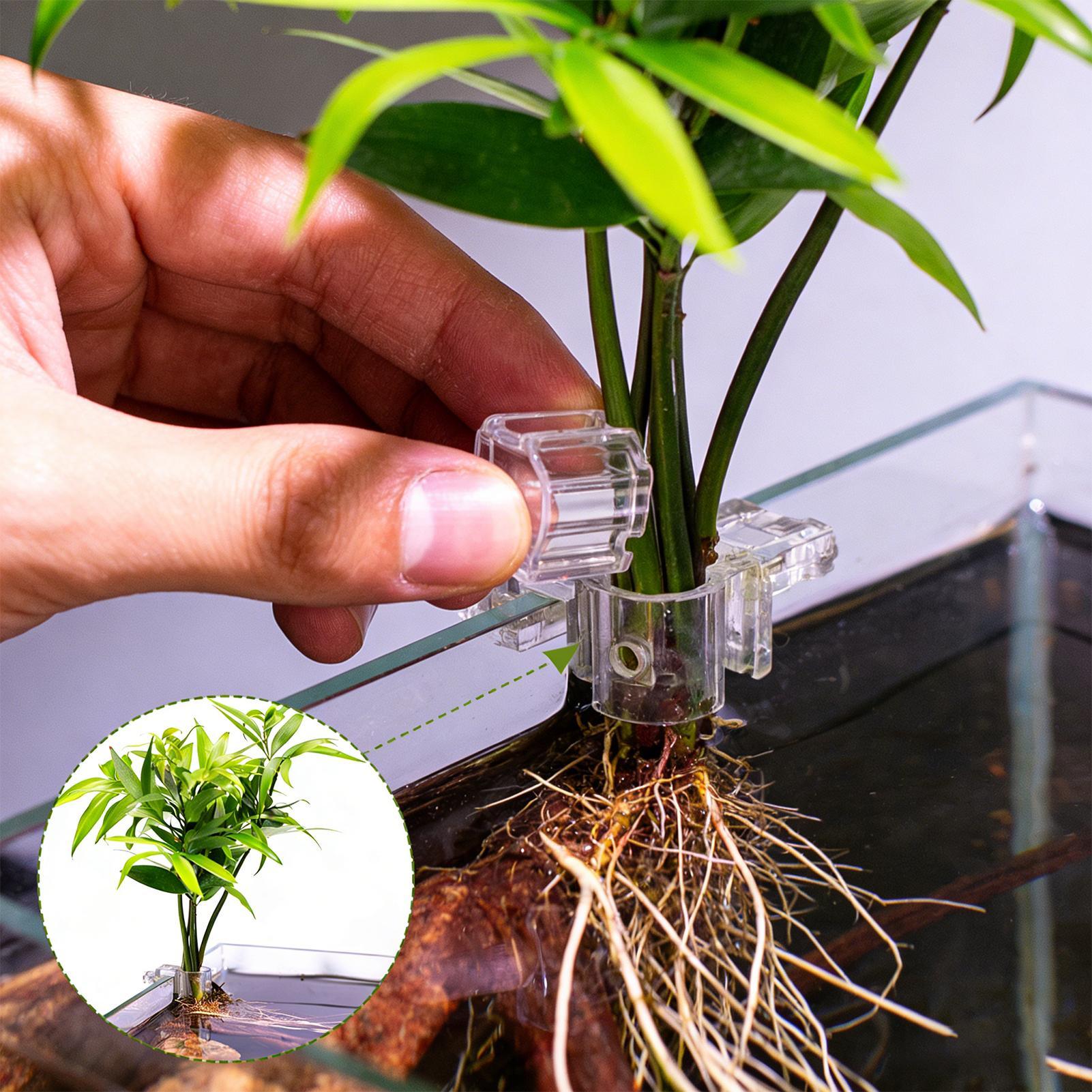 Aquarium Fertilizer - Mini Vaso Plantador para Aquário 6