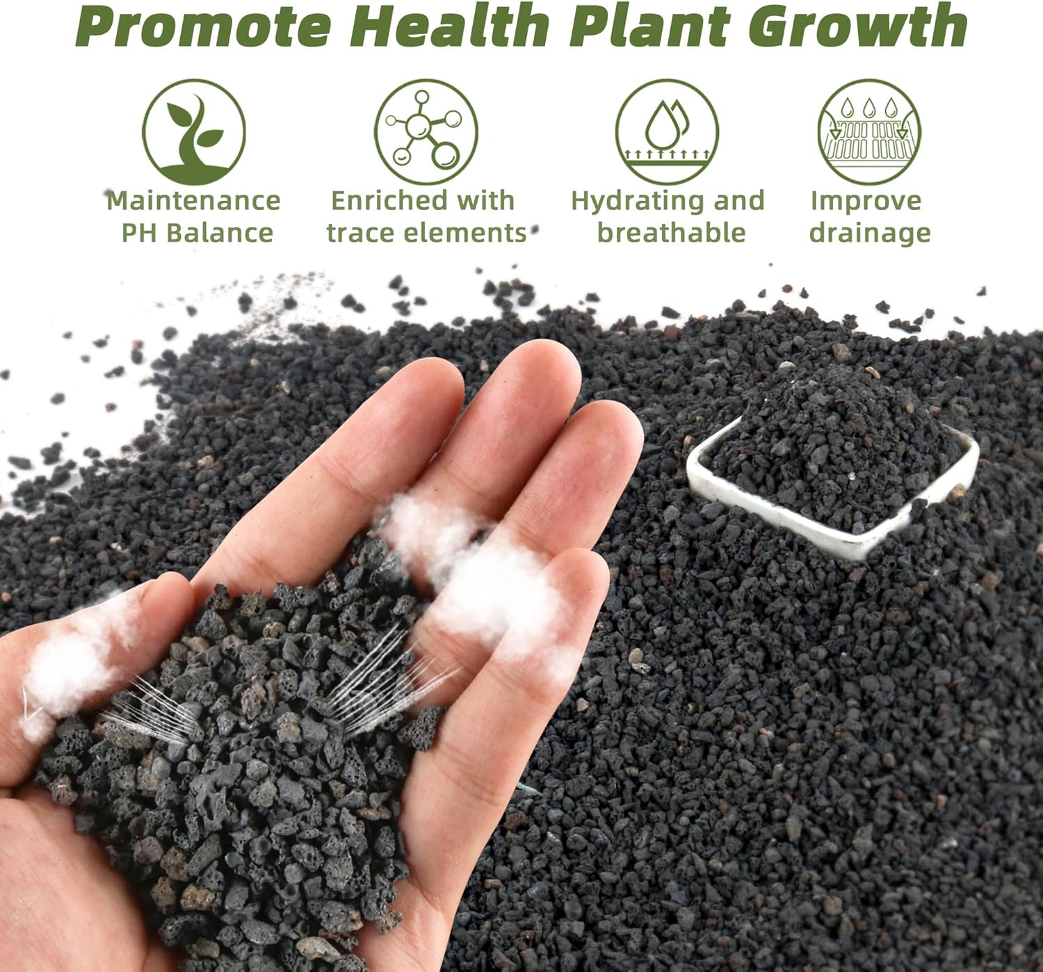 Plant Aquarium Pot - 3 lb de material filtrante preto