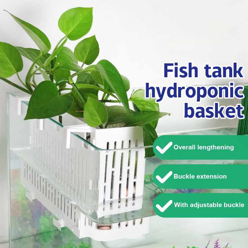 Aquarium Plant Holder - 【F】Suporte Suspenso para Plantas Aquáticas em