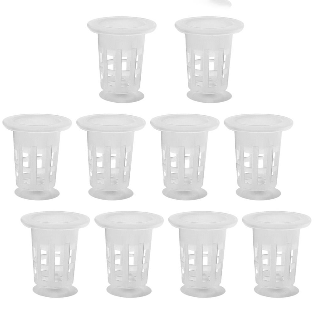 10 Peças de Vasos Hidropônicos - Plant Aquarium Pot avaliação e preço