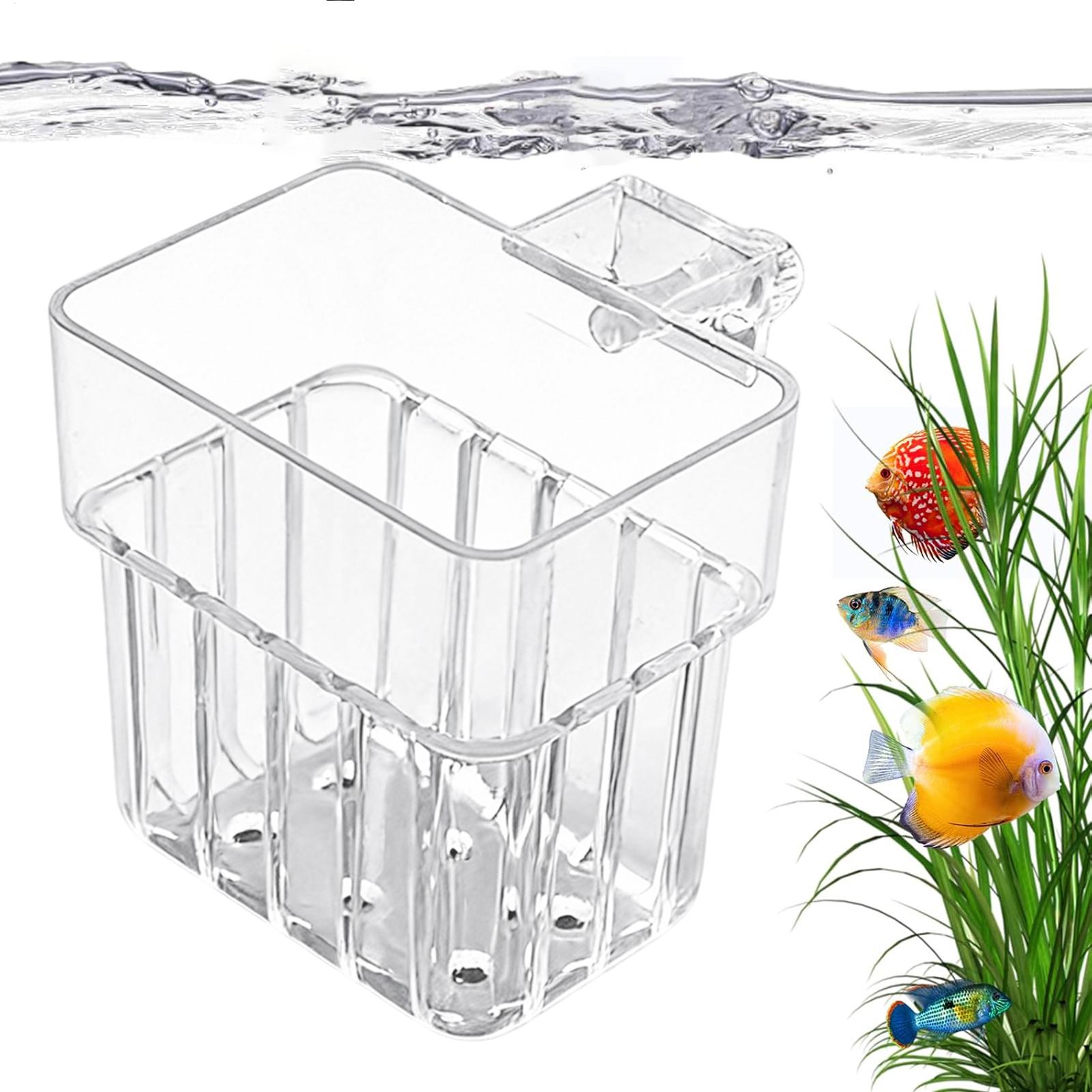 Vaso Transparente Pendurável p - Aquarium Plants Live avaliação e preço