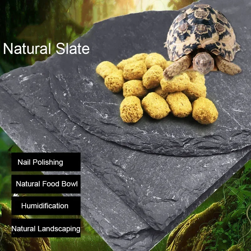 Natural Slate Aquarium Pet Rép - Aquarium Driftwood avaliação e preço