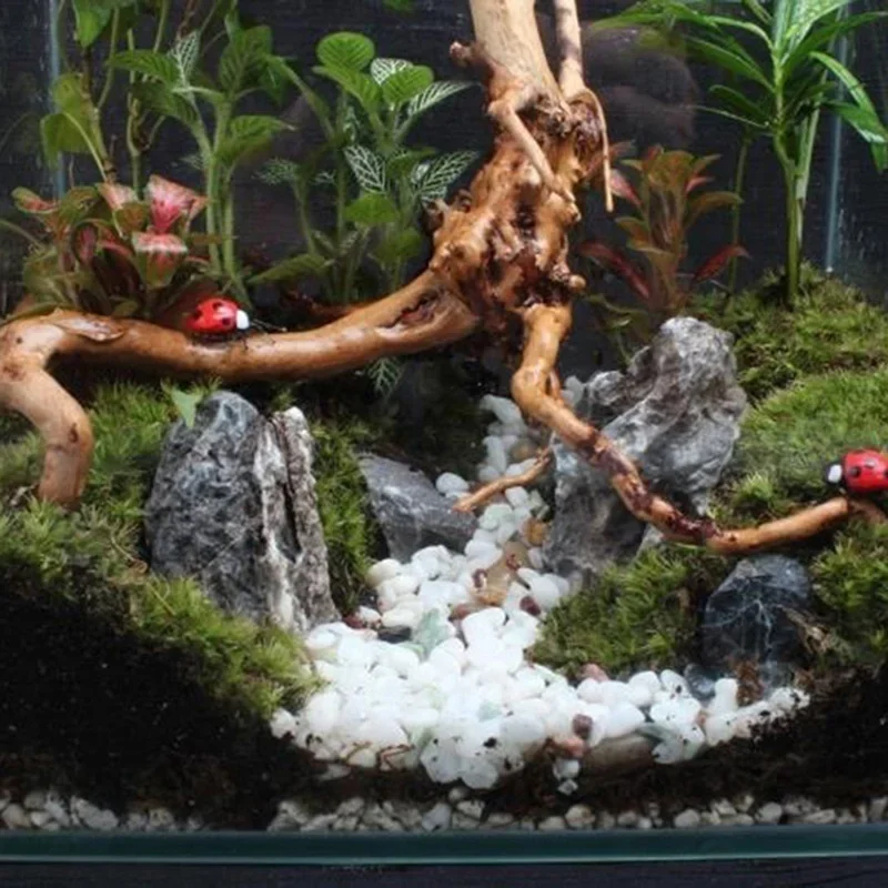 Natural Tree Tronco Driftwood  - Aquarium Driftwood avaliação e preço