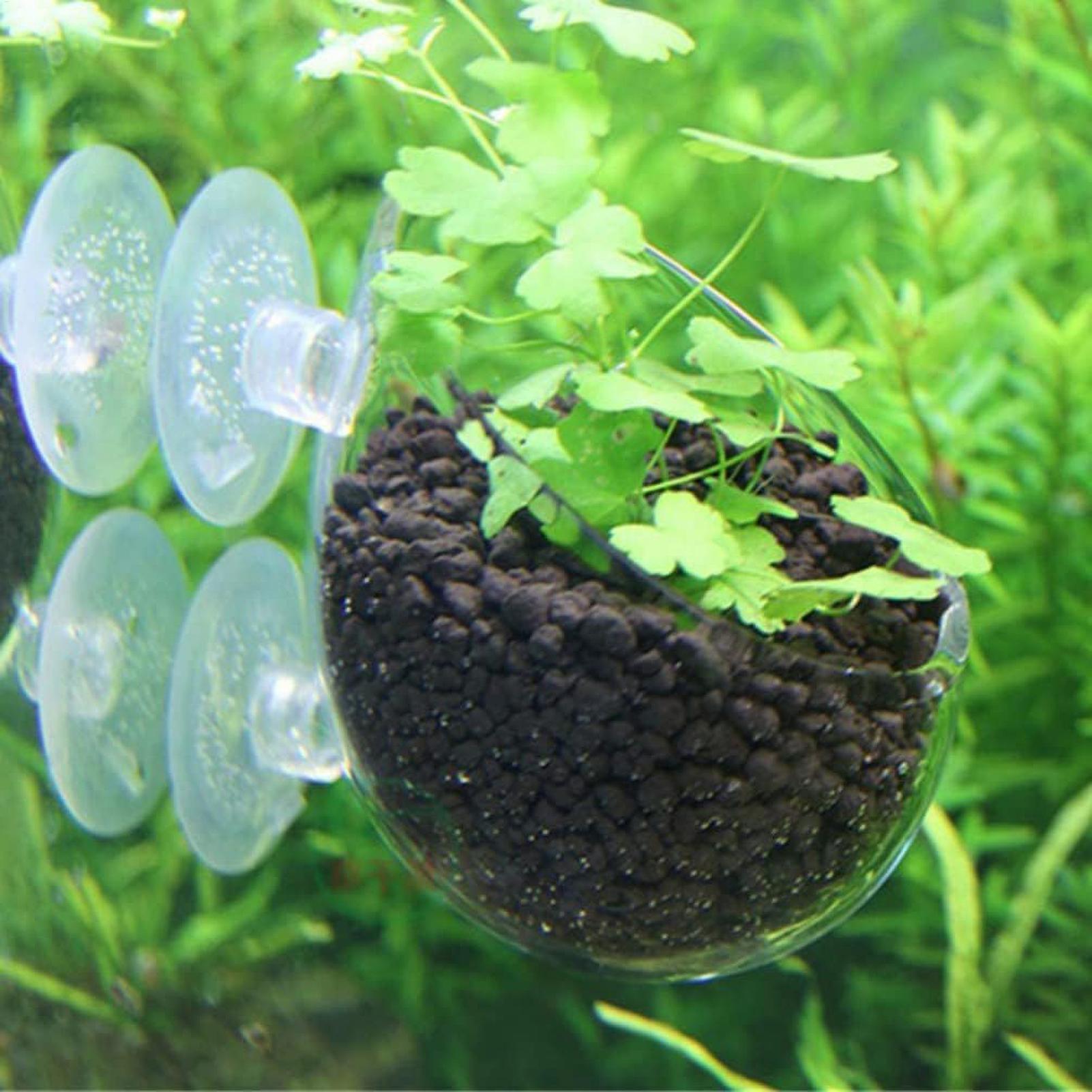 Suporte de Plantas para Aquári - Live Plant Aquarium avaliação e preço
