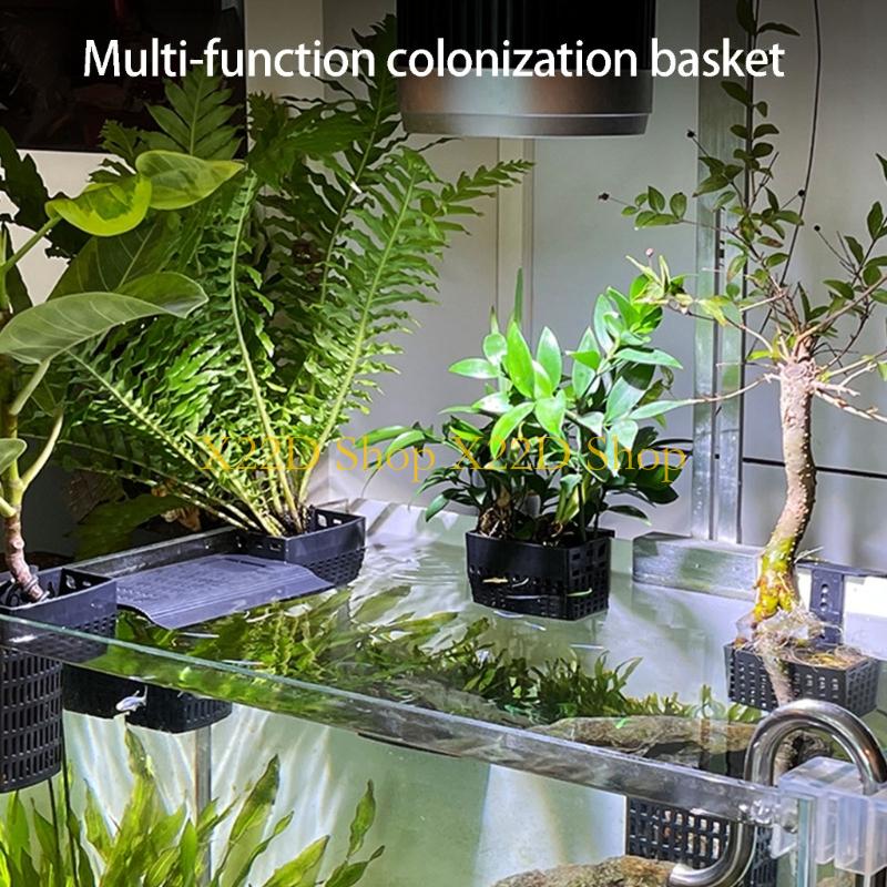 X22D Moderno Estilo Antigo Sup - Plant Aquarium Pot avaliação e preço