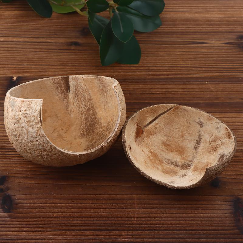 Decoração de Coco para Aquário - Aquarium Driftwood avaliação e preço