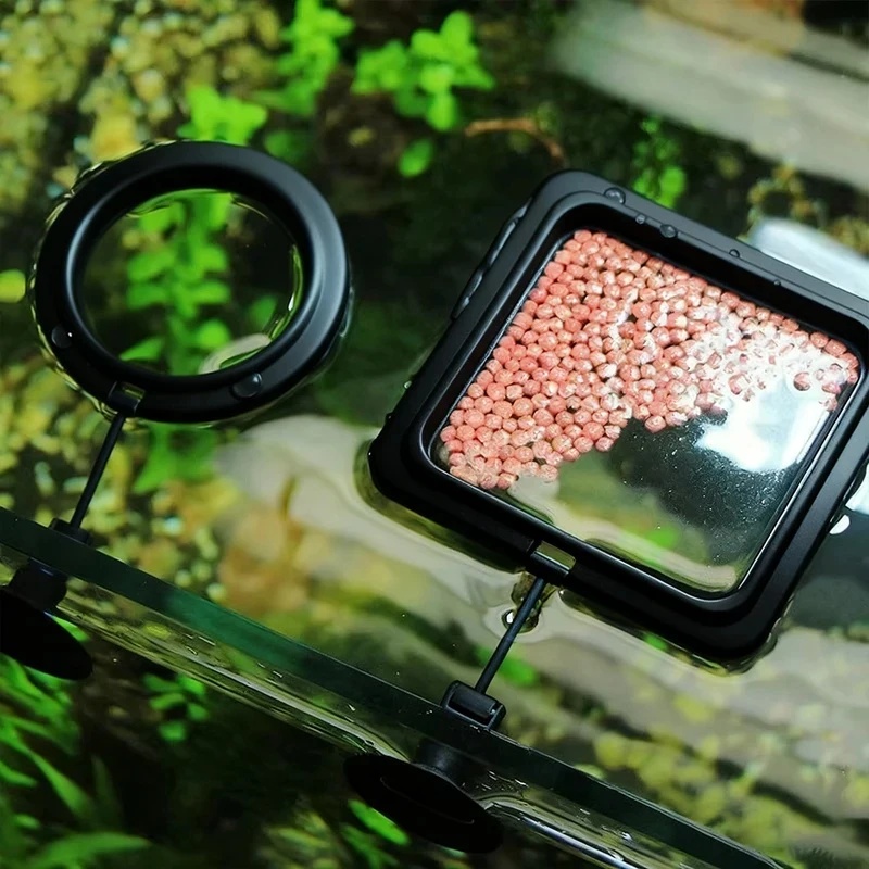 1/3 Peças Anel Alimentador de  - Aquarium Fertilizer avaliação e preço
