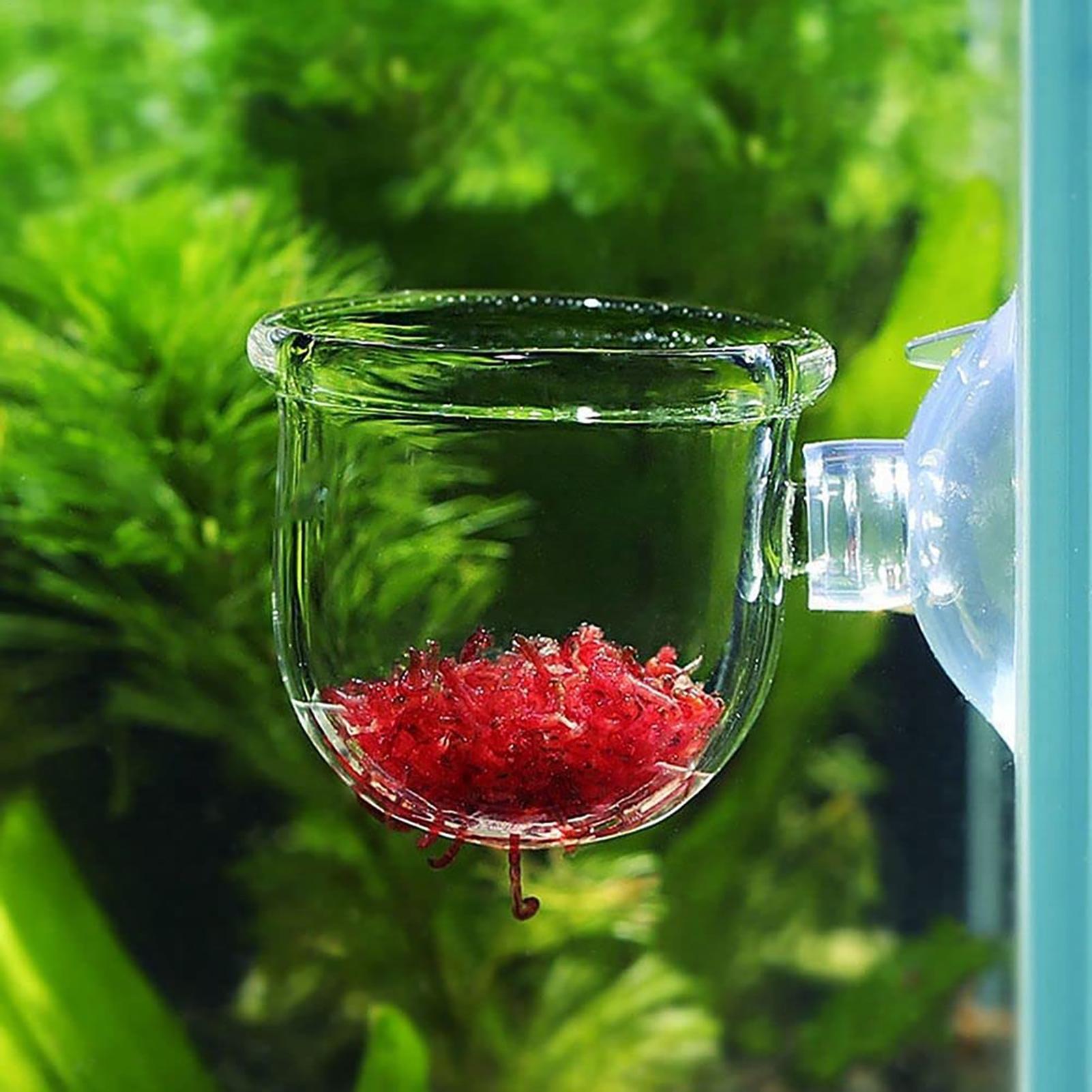 Vaso para plantas de aquário,  - Plant Aquarium Pot avaliação e preço