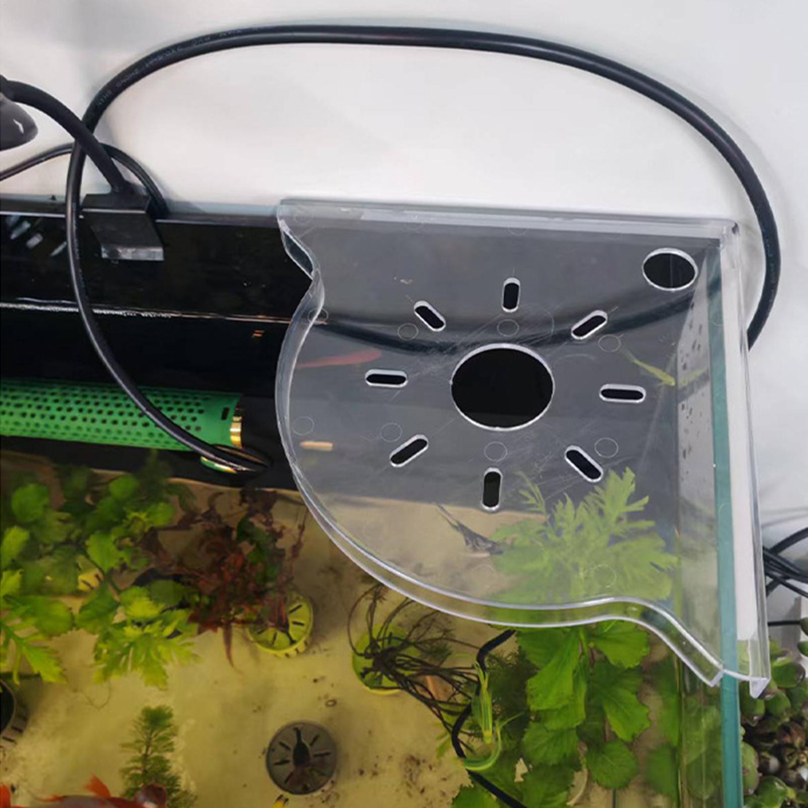 Suporte de Canto para Aquário  - Aquarium Plants Live avaliação e preço