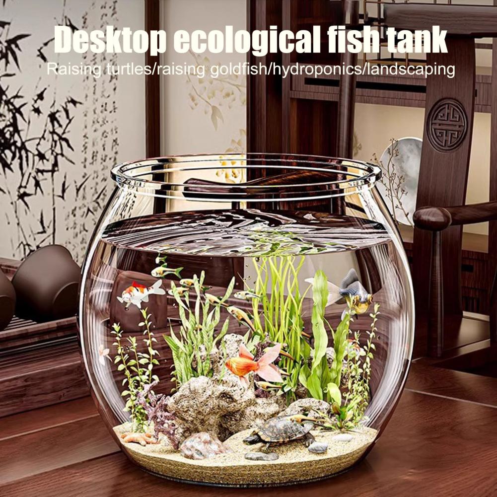 Tigela de peixes redonda de pl - Plant Aquarium Pot avaliação e preço