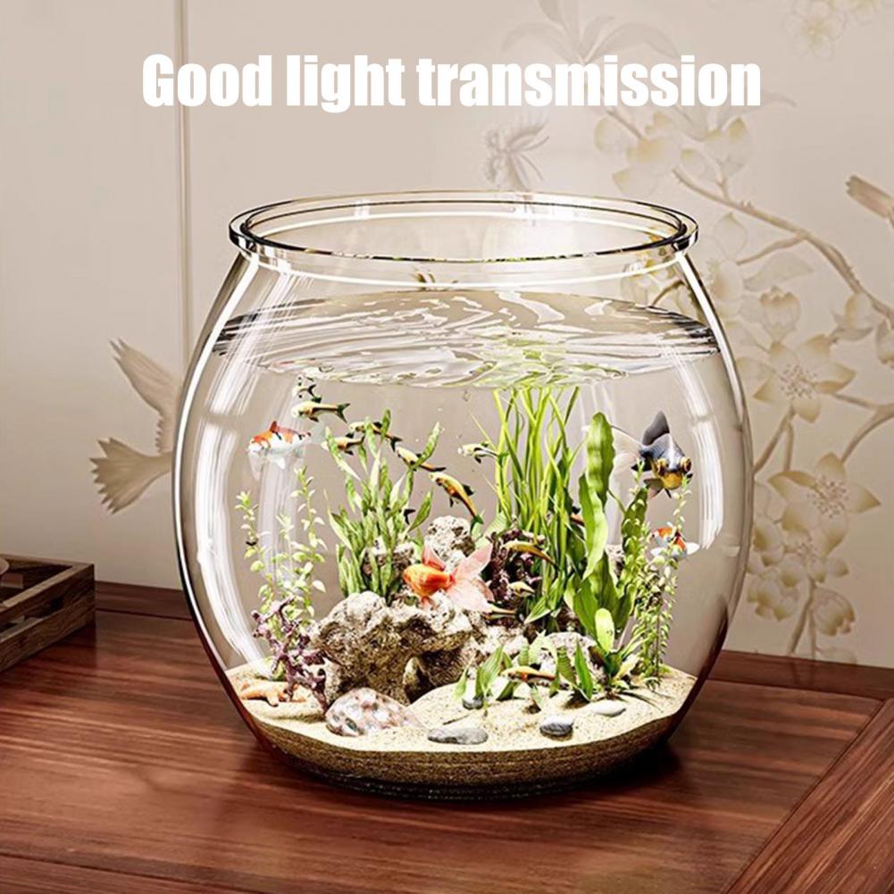 Tigela de peixes redonda de pl - Plant Aquarium Pot avaliação e preço