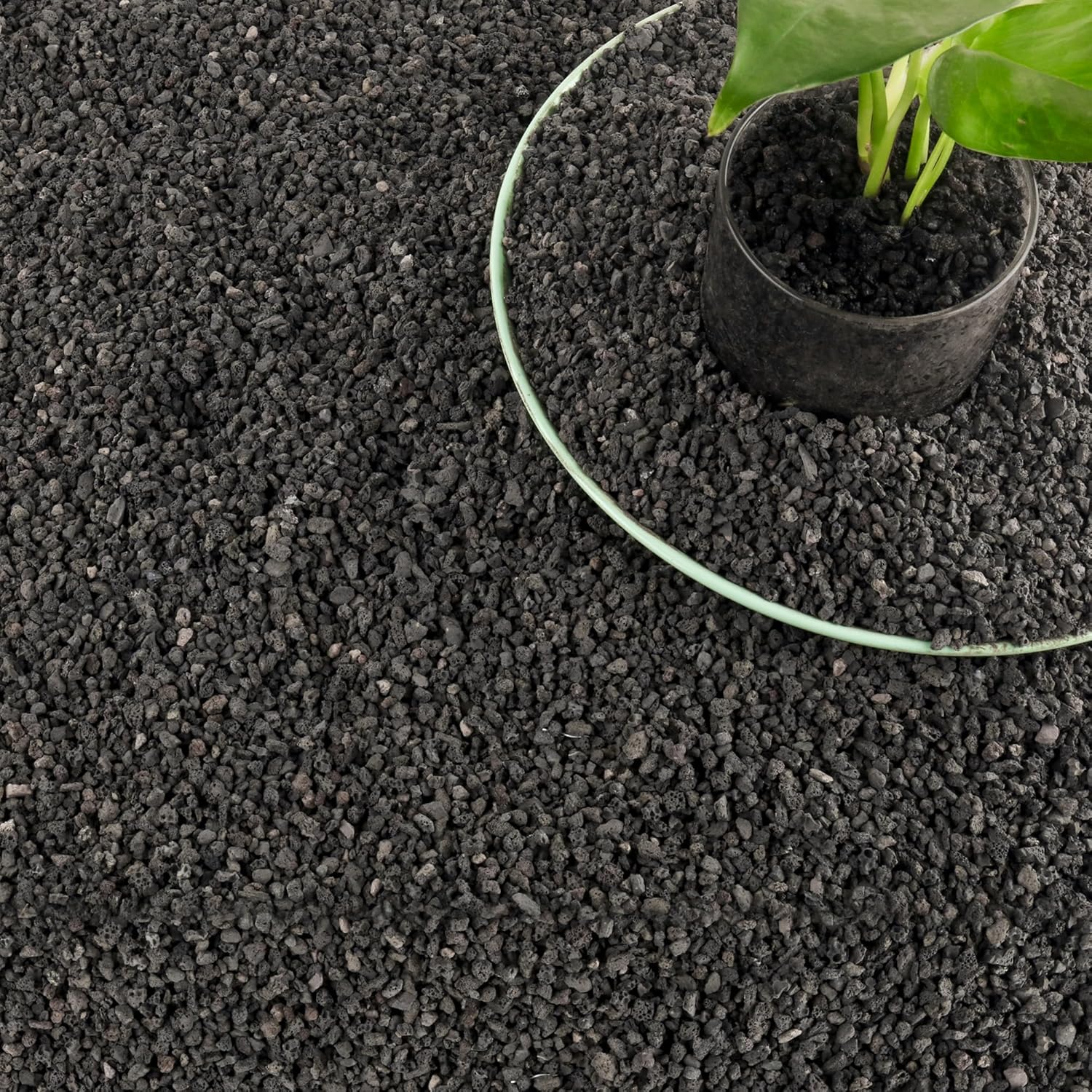 3 lb de material filtrante pre - Plant Aquarium Pot avaliação e preço