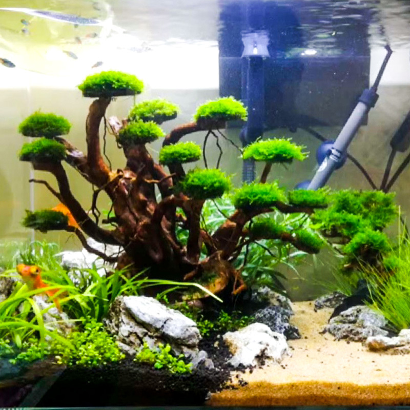 Decoração para Aquário: Orname - Aquarium Driftwood avaliação e preço