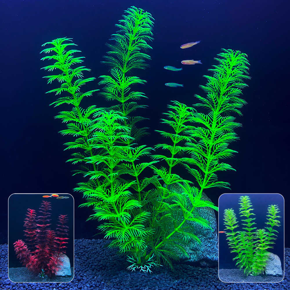 Plantas Artificiais para Aquár - Live Plant Aquarium avaliação e preço