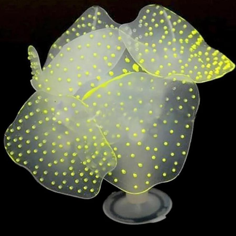 Ornamento de coral colorido pa - Aquarium Plant Substrate avaliação e preço