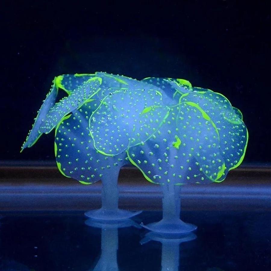 Ornamento de coral colorido pa - Aquarium Plant Substrate avaliação e preço